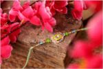 Divine Krishna Moti Rakhi