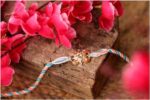 Royal Aura Premium Rakhi