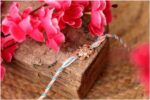 Royal Aura Premium Rakhi